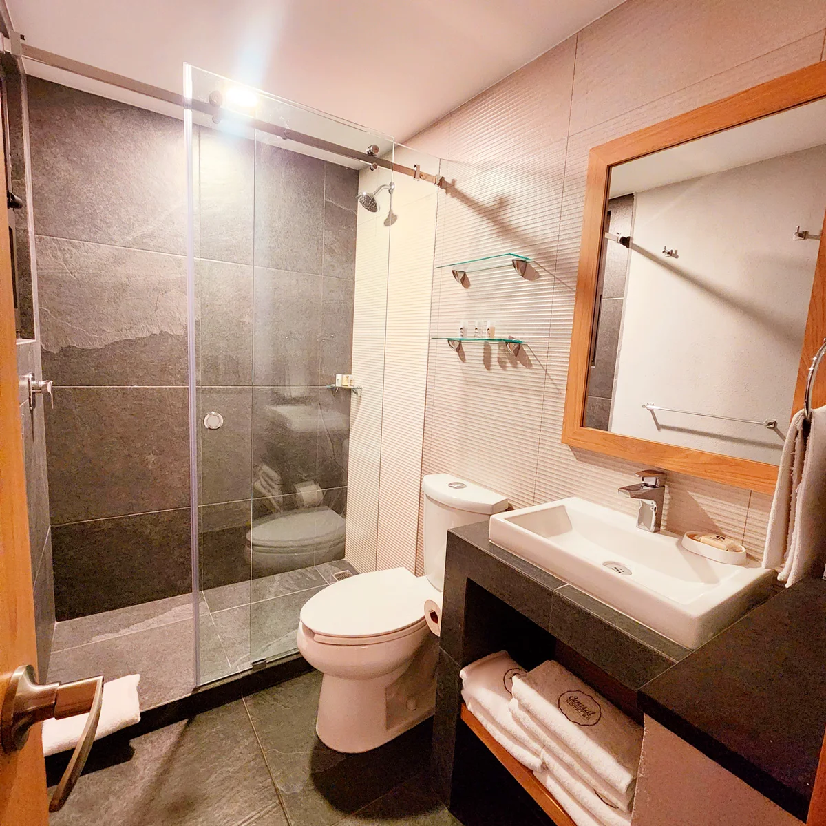 CC Habitación Deluxe Matrimonial Vista Ducha